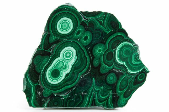 Flowery Polished Malachite Slab - DR Congo #360754